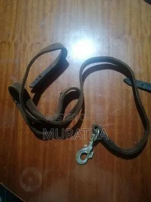 For Trainers