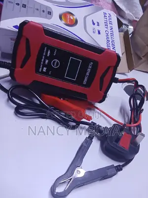 12v Intelligent Pulse Car Repair Charger