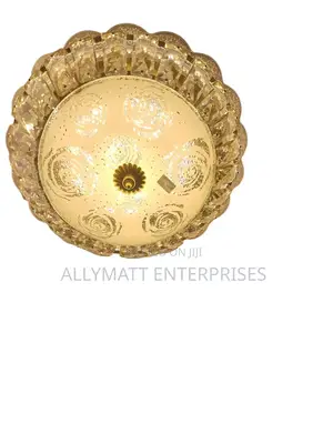 Ceiling Light