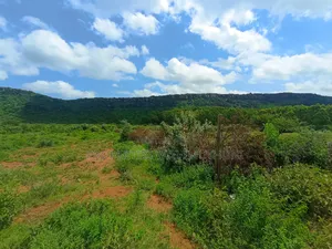 1/4 Acre Plots for Sale in Ndigiro, Kimuka, Ngong
