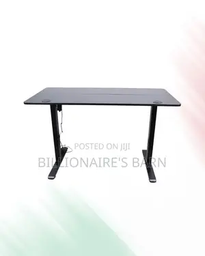 Stylish Single Split Full Electric Standing Desk Compact Sit Stand
