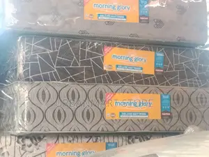 Morning Glory 4 by 6 Plush Quilted Mattress, 12 Inches