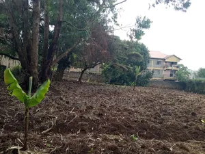 Land on Sale
