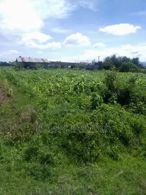 100x100 Plot for Sale in Nakuru