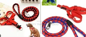 Dog Leash / Harness With Collar Nylon Braided Dog Harness