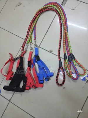 Dogleash, Safety Dogleash