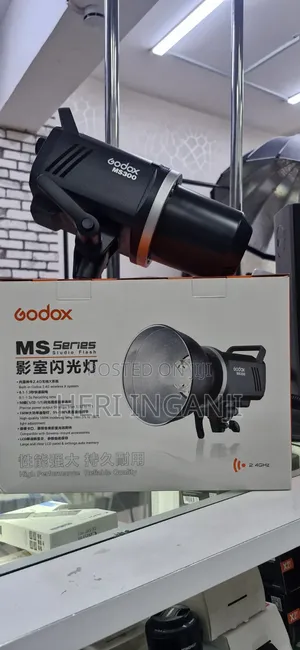 Godox Ms 300 Strobe Light