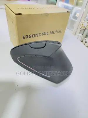 RGB Light Ergonomic 2.4g Wireless Computer Mouse
