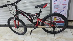 Adult Bike Size 24 Available