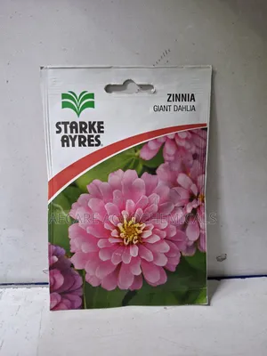 Zinnia Gaint Dahlia Flower Seeds Starke Aryes 2 Gram