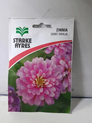 Zinnia Giant Dahlia 2grams Flower Seeds