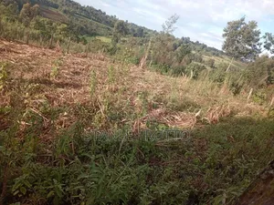 1\2 an Acre Land Located in Kapkoimur