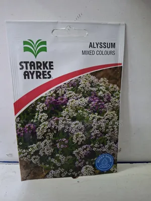 Alyssum Mixed Colours Flower Seeds 0.6 Grams