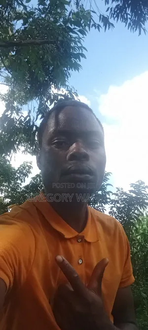 Online Hustle (Computation)