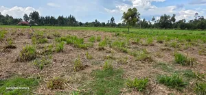 6 Acres for Sale in Kapsetet Bypass Eldoret