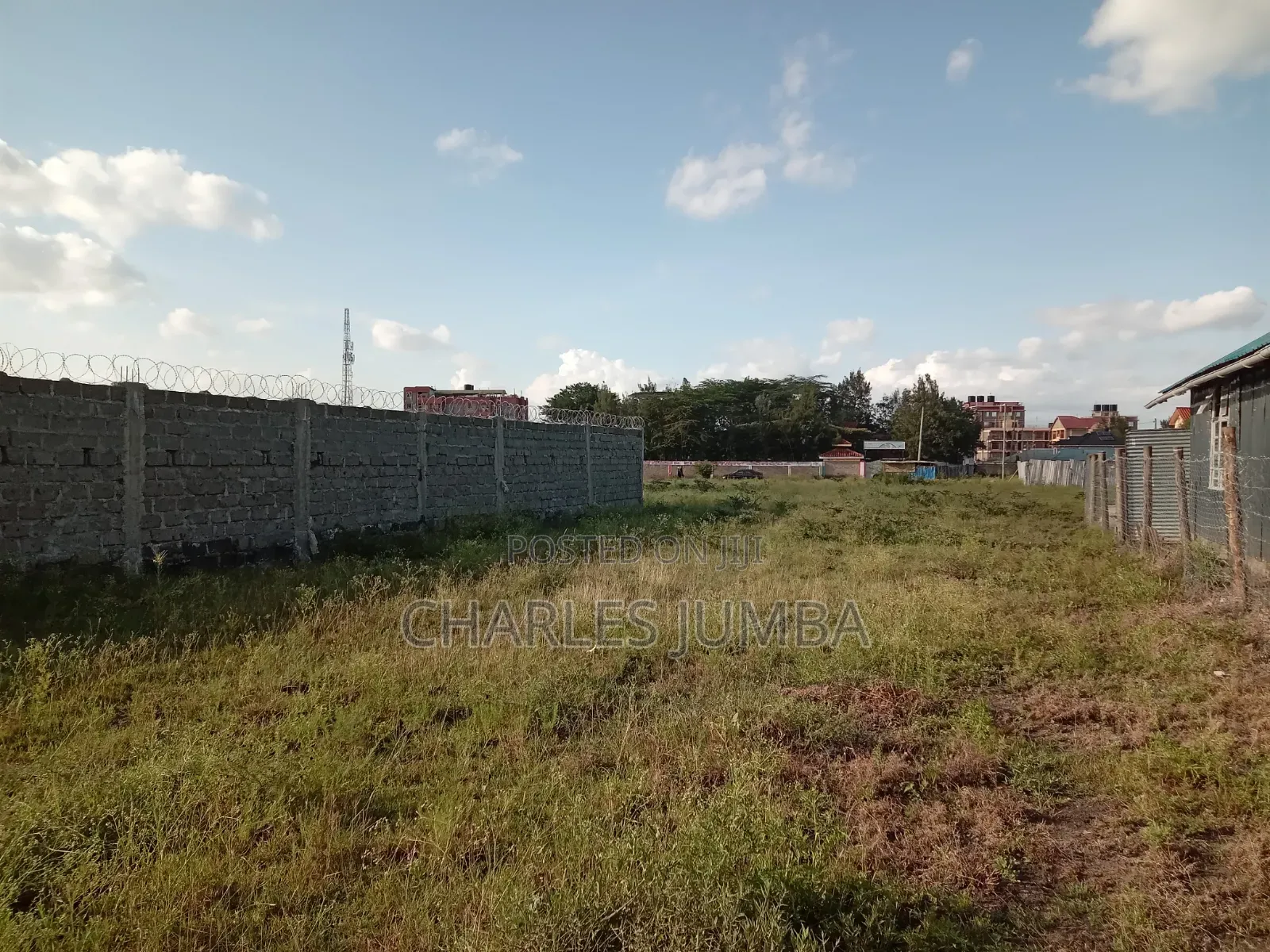 Commercial Plot