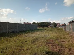 Commercial Plot