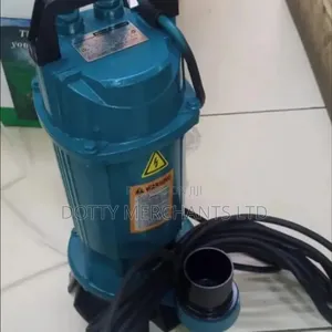 Best Sewage Pump 2hp