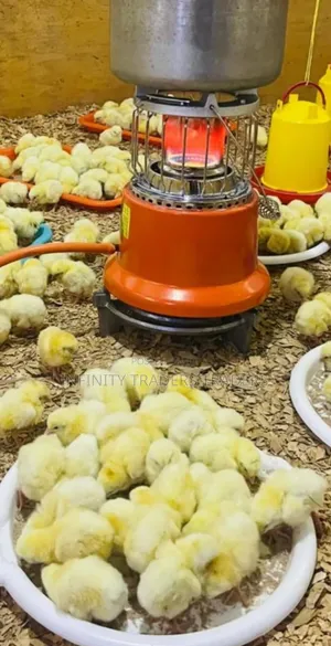Ampia Advanced Efficient Gas Chick Brooder