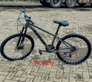 Size 26 Adult Bike