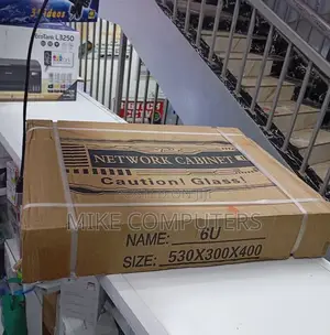 Professional 6u Data Cabinet for Networking and Safety Equipment