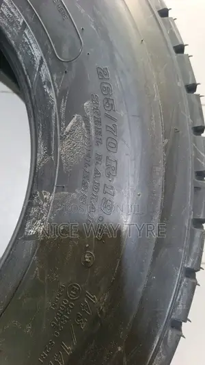 265/70r19.5 Dunlop