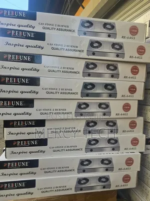 Rebune Stainless 2-Burner Cooker