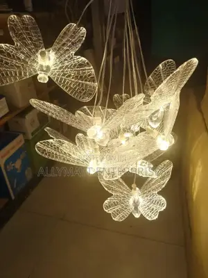 Acrylic Butterfly Like Lights