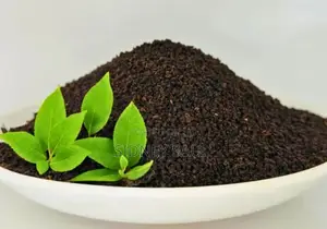 Tea Leaves Bp1quality