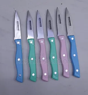 Stainless Steel Serrated Steak Knife