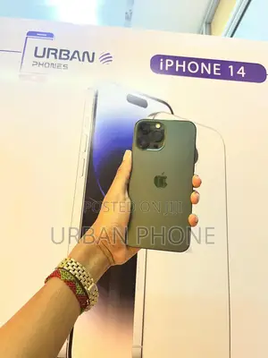Apple iPhone 13 Pro Max 256 GB Green