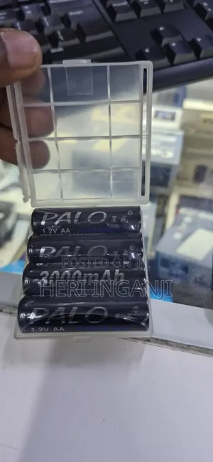 Palo 4 Pack 3000mah Rechargable Batteries