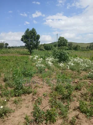 100x100 Land in Naivasha Mwichirigiri Near the Church