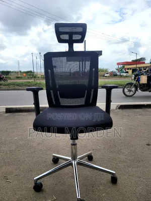 Adjustable High Back Office Chair With Lumbar Support