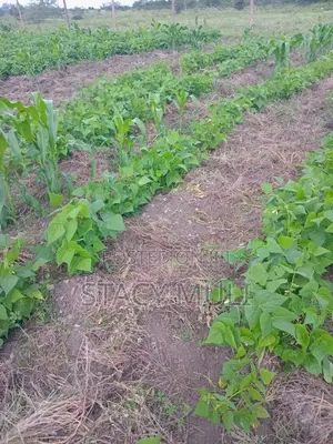 Plot for Sale