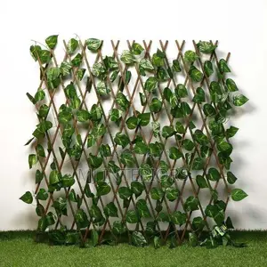 Retractable Ivy Fence