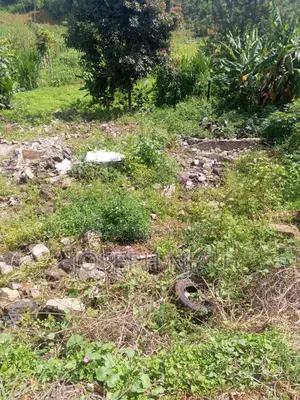 0.6 Acre Land in Mucatha Along Ruaka Banana Road