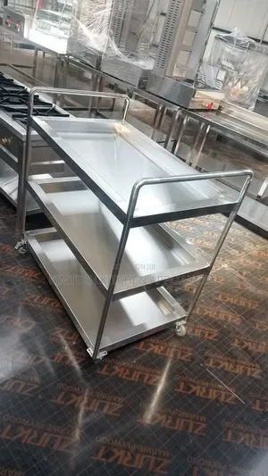 Stainless Steel Medicine Trolley