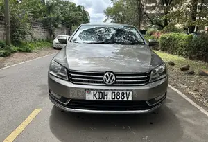 Volkswagen Passat 2013 Gray