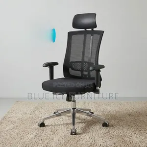 Executive Office Orthopaedic Chair With Headrest