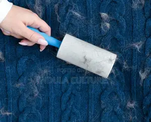 Lint Remover