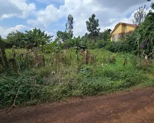100 by 100 Plot for Sale at Kiamumbi