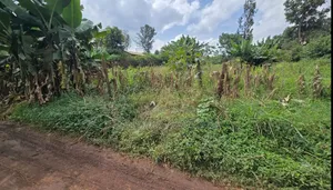 100 by 100 Plot for Sale at Kiamumbi
