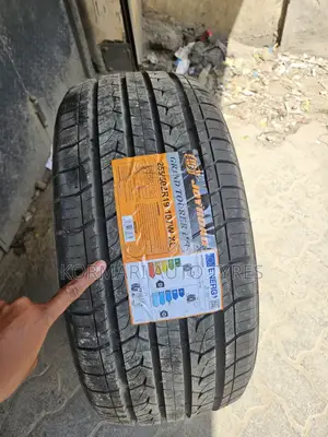 255/50r19 Joyroad Tyre
