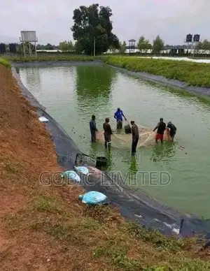 Fishpond Constructions Nairobi Kenya