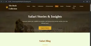 Website Development And Maintanance