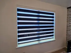 Modern Zebra Shades for Living Room Windows