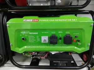 Power Usa W2500exe Petrol Generator3.0 Kva/2.8kva Key Strart