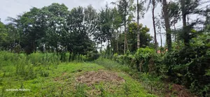 Prime 3 Plots for Sale in Kapseret Kericho Ndogo Eldoret