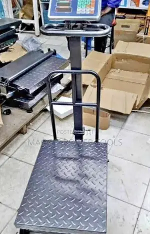 600kgs Platform Weighing Scale/Digital 600kgs Platforms Weighing Scale
